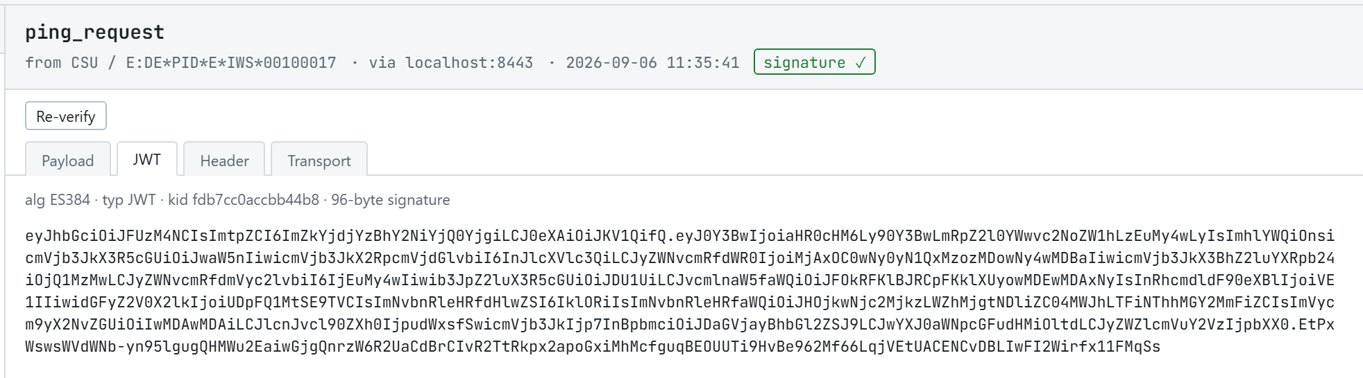 Der JWT-Reiter mit 'alg ES384 · typ JWT · kid … · 96-byte signature' über dem rohen kompakten Token.